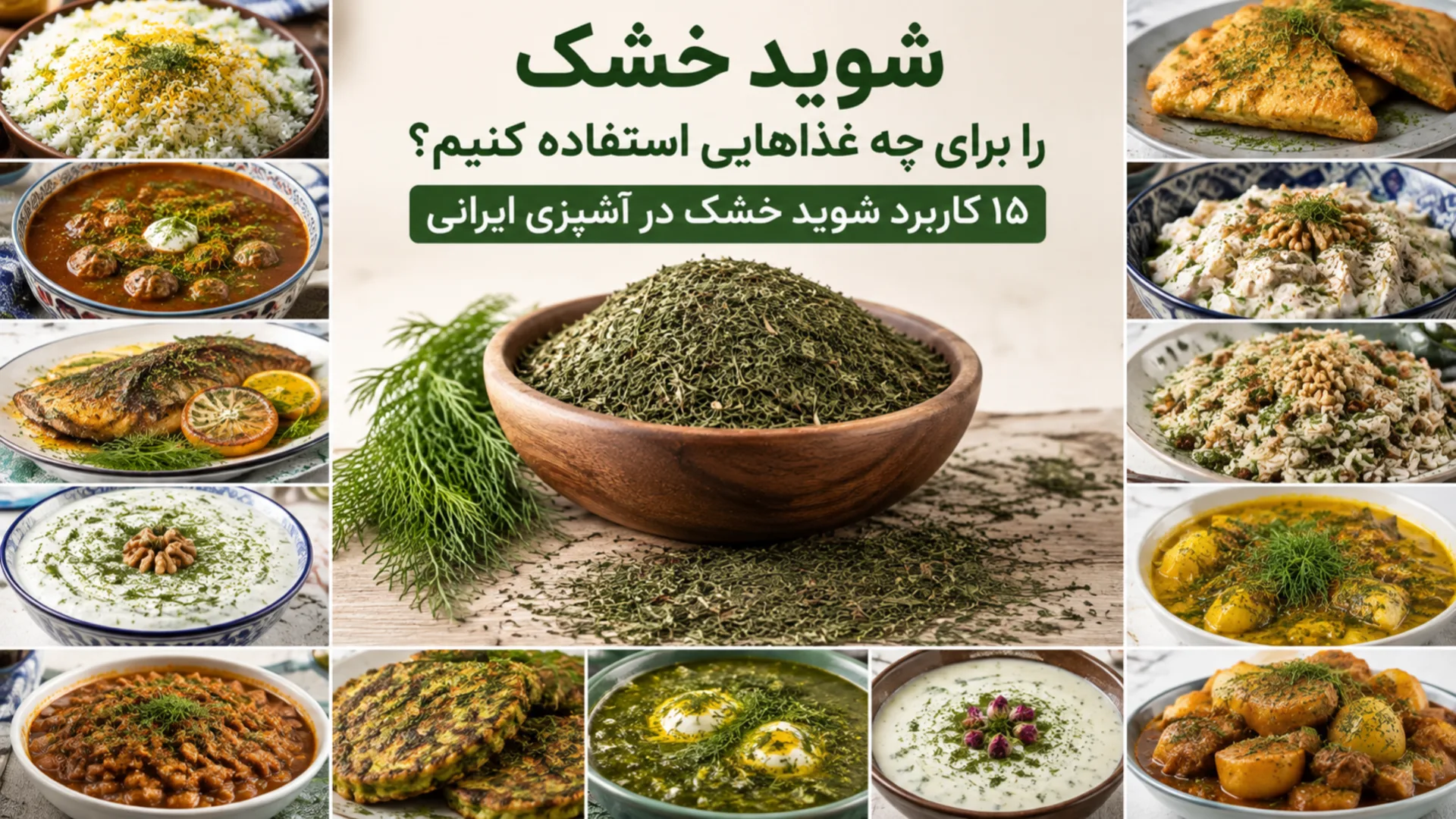 شوید خشک را برای چه غذاهایی استفاده کنیم؟ ۱۵ کاربرد شوید خشک در آشپزی ایرانی