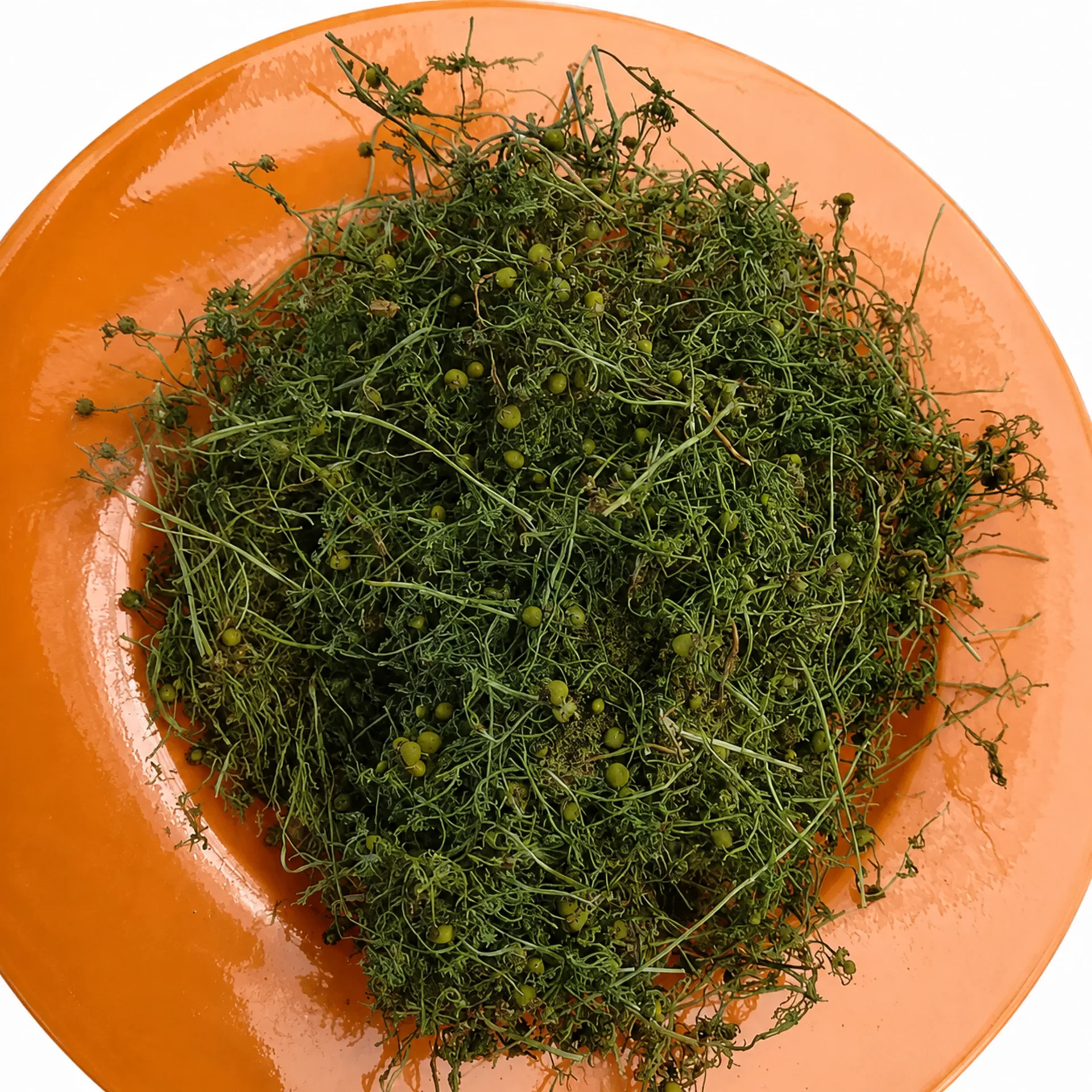 بابونه محلی شیرازی